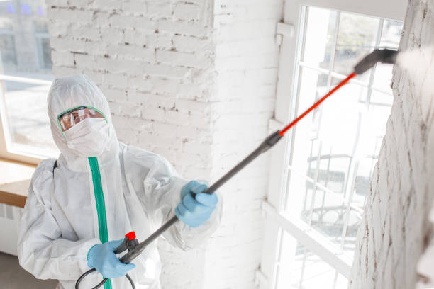 Trusted Mendota, CA Mold Removal Experts