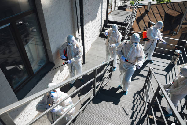 Best Water Damage & Mold Remediation  in Mendota, CA