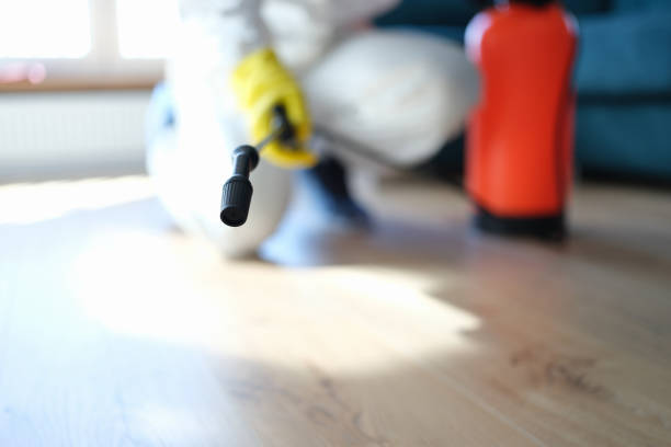 Best Mold Removal for HVAC Installations  in Mendota, CA