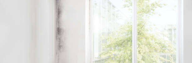 Best Industrial Mold Remediation  in Mendota, CA