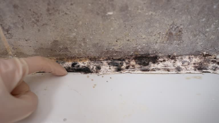 Best Post-Remediation Verification Testing  in Mendota, CA